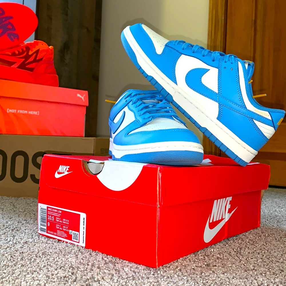 Nike “Coast” dunks size 9 men’s 10.5 women’s